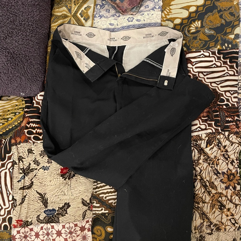 Urban Outfitters x Dickies Pants